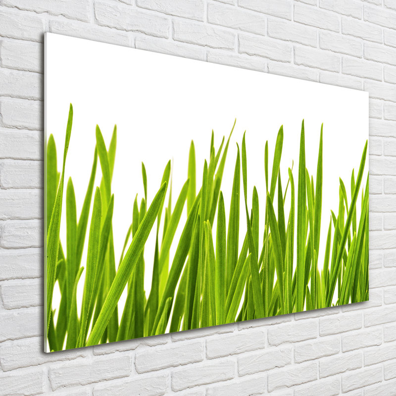 Grass - No Frame Print on Glass