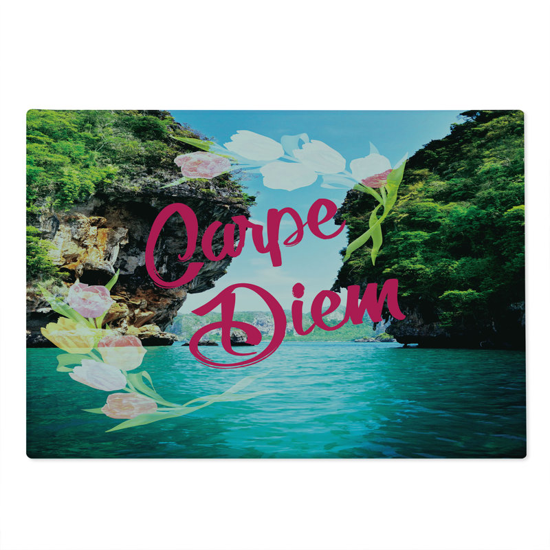 Ambesonne Saying Cutting Board Large Size Carpe Diem Message Multicolor