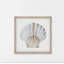 «Pretty White Shell», reproduction encadrée-1664352454
