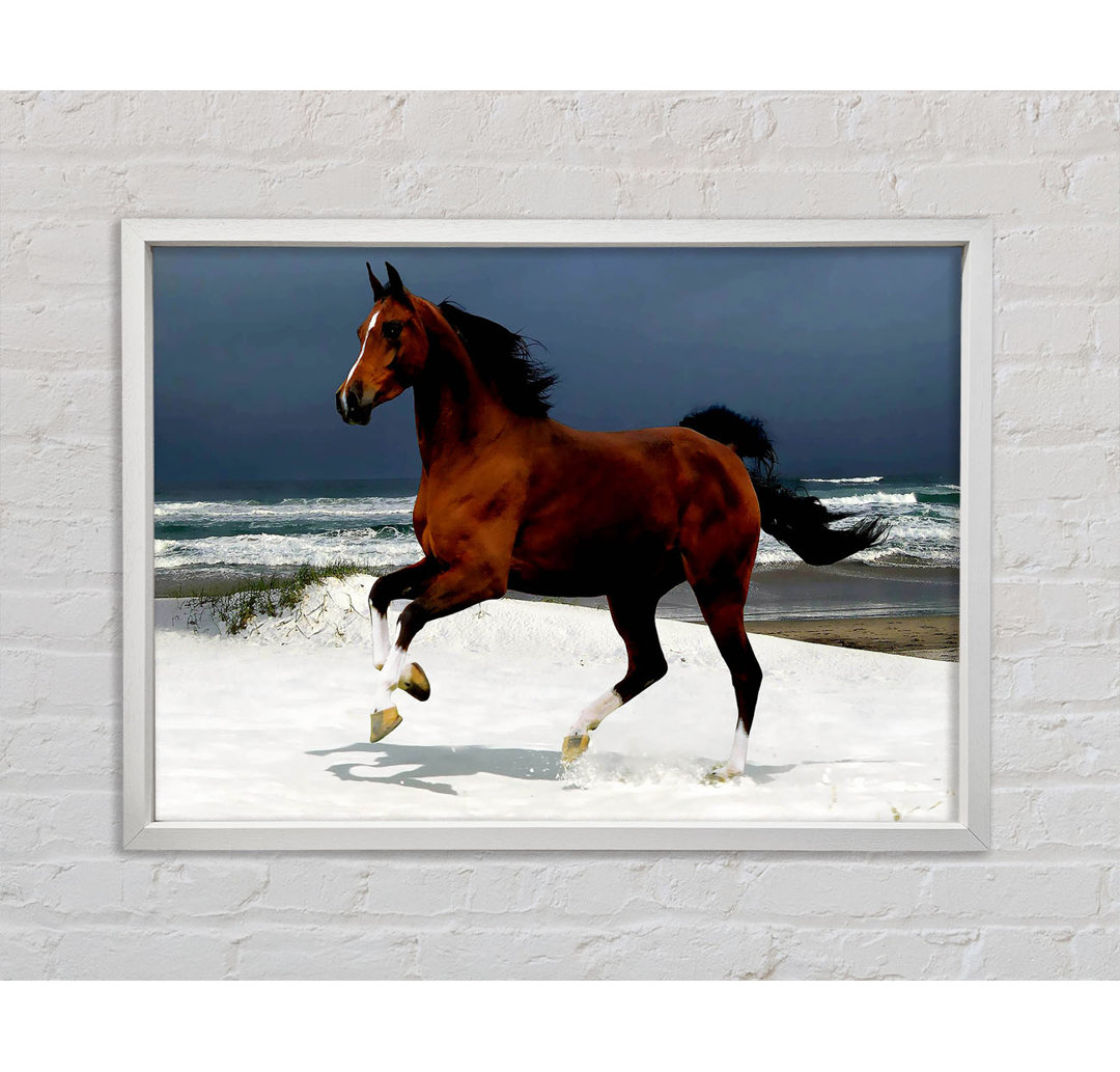 Ocean Horse Beauty - Einzelner Bilderrahmen Kunstdrucke auf Leinwand