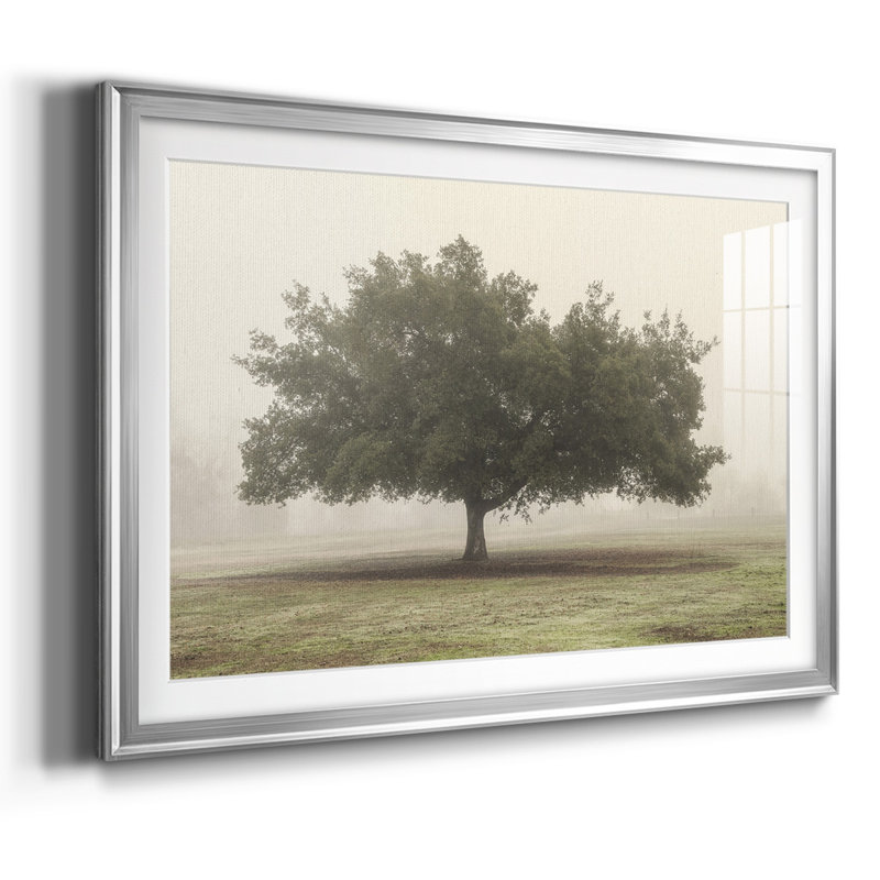 Arbres dans le brouillard II, Argent, H 15 po x l 21 po x P 1,5 po