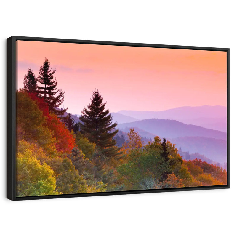 Automne lever de soleil, Cadre flottant noir, 37 po x 25 po