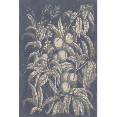 Rétro fruits et fleurs II