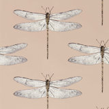 Demoiselle