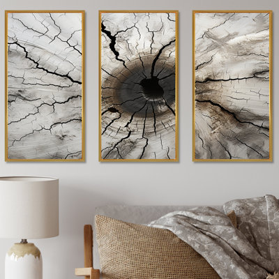 «Tree Cut Stump Beauty I - Tree Redwood», ensemble de reproduction d'art mural