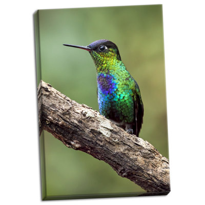 " Hummingbird I " by Larry Malvin