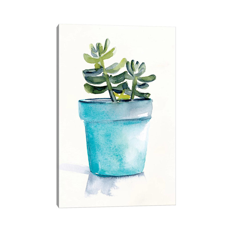 Potted Succulent II by Jennifer Paxton Parker - Wrapped Canvas Print, 30.48cm H x 20.32cm W x 1.905cm D