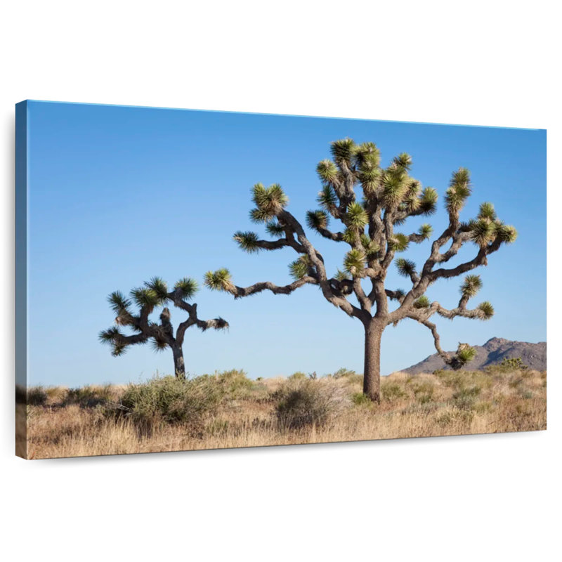 Harnek Joshua Tree National Park, 26" H x 39" W