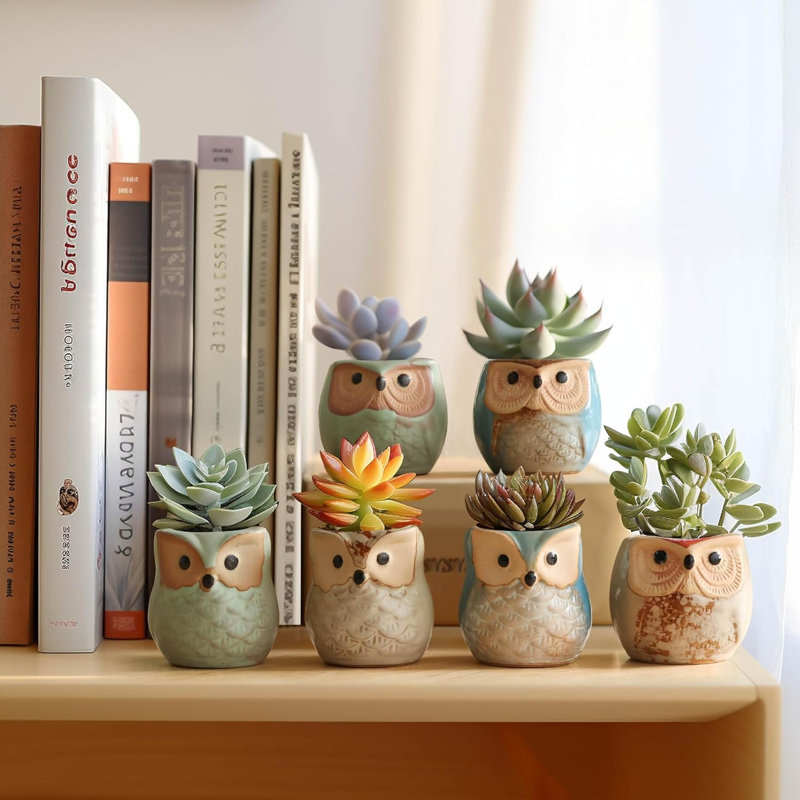 Ensemble de 6 pots en céramique 2,5 "avec drainage et hibou