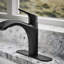 Rival Single-Handle Pull-Out Kitchen Sink Faucet With Two-Function Sprayhead-1212840047