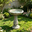 Birdbath