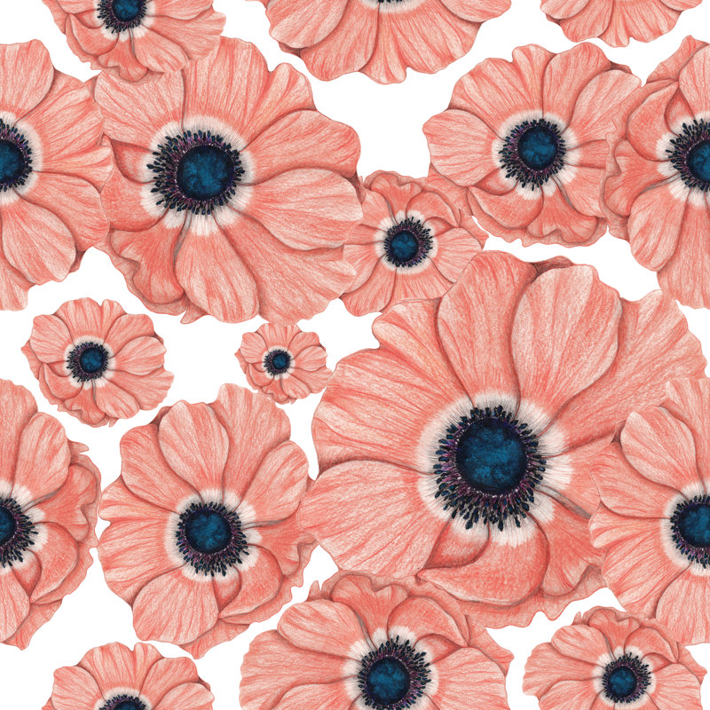 Pattern Of Anemones - Wrapped Canvas Print, 91cm H x 91cm W x 3.8cm D