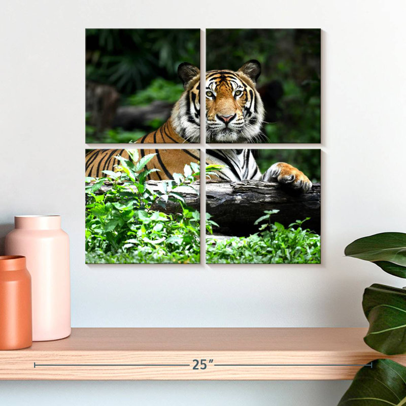 Tigre du Bengale au repos, H 18 po x l 18 po