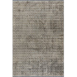 Rapture Contemporary Wisdom Beige Gray Area Rug