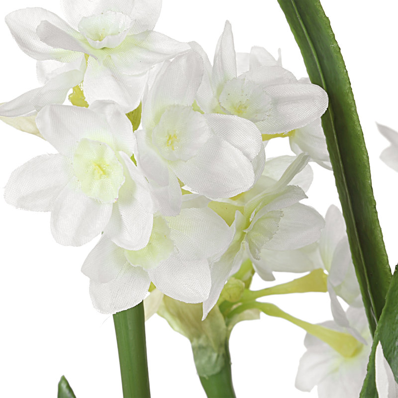 Arrangement Zoel