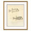 Odd Fish Giclee Print