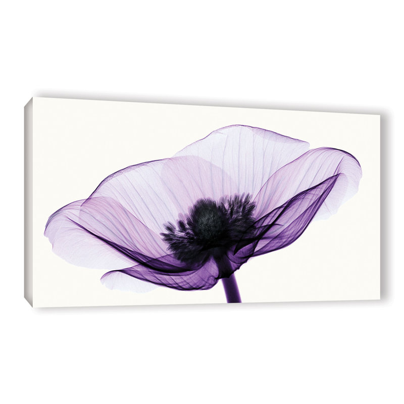 Graphic Art on Canvas, 12" H x 24" W x 2" D, Wrapped floater canvas