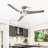 52" 3 - Blade Smart Propeller Ceiling Fan with Dimmable LED Light and Remote Control-598813282