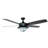 Braylin 52 inch Indoor/Outdoor Matte Black Ceiling Fan with LED Light Kit and Remote Control