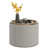 Light Grey est en rupture de stock sélectionné