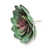 Vert rose est en rupture de stock