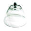 Palace Cloche with Knob - 12 Pieces - Clear
