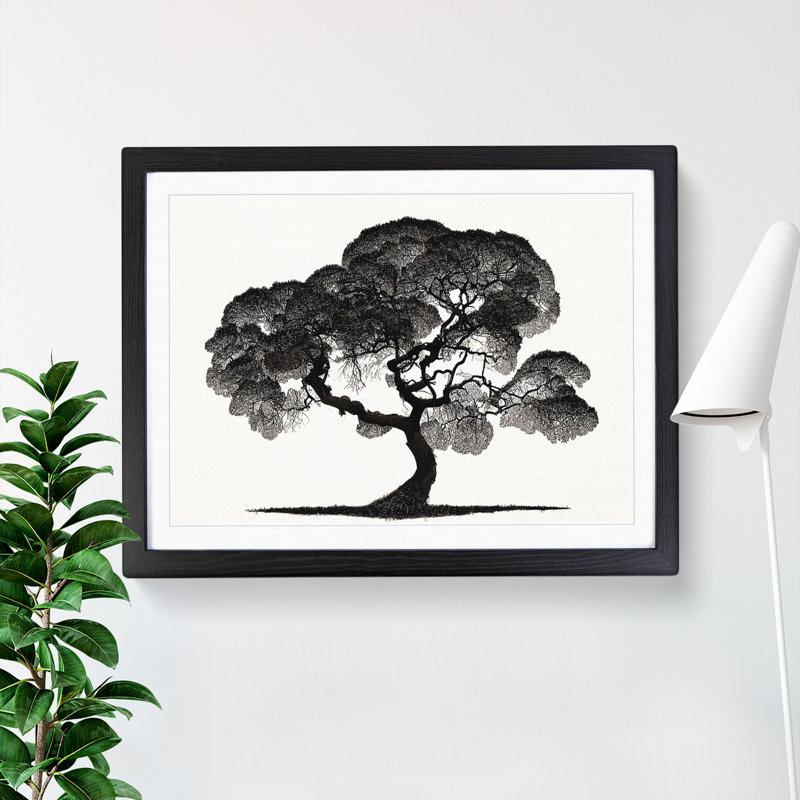 Entrancing Tree - Single Picture Frame Print, Black, 46cm H x 64cm W x 2cm D