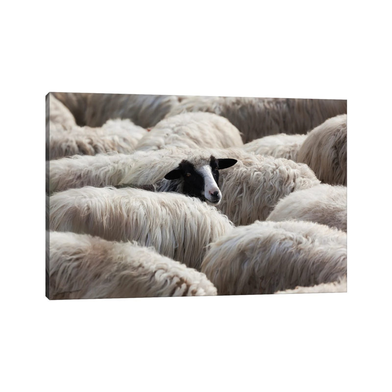 Lo Saguardo by Massimo Della Latta - Wrapped Canvas Gallery-Wrapped Canvas Giclée, 20.32 cm H x 30.48 cm W