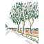 Tall Trees Print by Deborah Blum-65826252-65851934