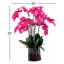 Blooming Orchid in Vase-931651913