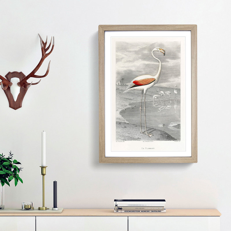 A Flamingo by Edouard Travies - Picture Frame Painting Print, 48cm H x 36cm W x 2cm D, Oak Framed