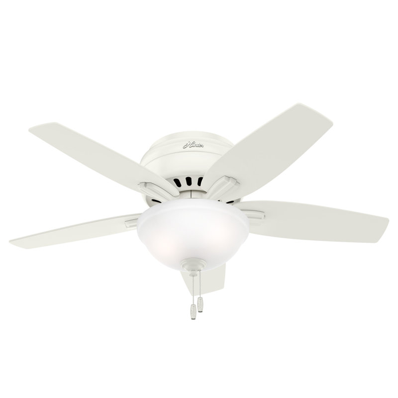 Newsome 42" 5 - Blade Traditional Flush Mount Indoor Ceiling Fan with Lights and Pull Chains, Fresh White