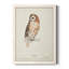 Toile encadrée de qualité supérieure Tawny Owl - prête à être accrochée-141755257-141755256