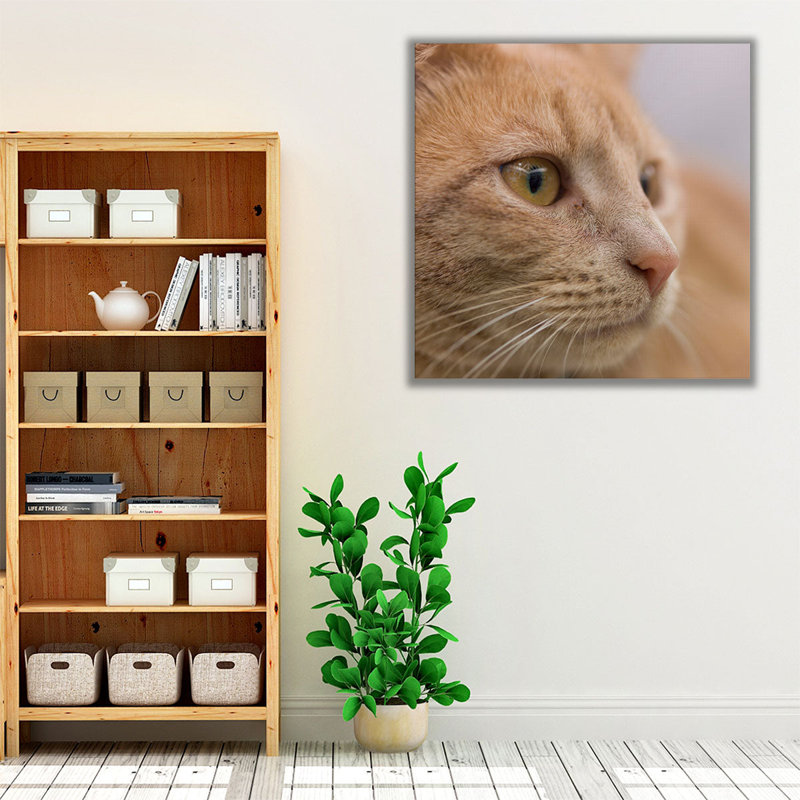 Gros plan d'un chat - reproduction d'art sur toile, H 12 po x l 12 po