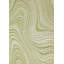 Tapis intérieur / extérieur vert Brodus-712332318