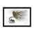 Black Picture Framed Paper is unavailable