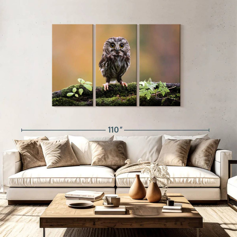 Brampt Charming Little Owl, 48" H x 74" W