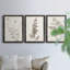Neutral Botanical Study IV - Ensemble de 3 peintures sur toile encadrées-95259145-95259146