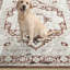 Tapis ivoire / rouge Amareona-1950192098