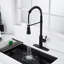 Blue Elephant Pull Down Kitchen Faucet-1563169466