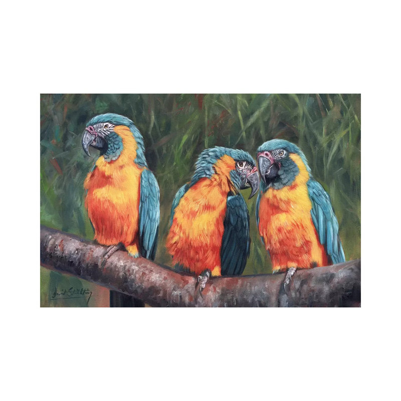 Macaws by David Stribbling - Wrapped Canvas Painting, 66.04 cm H x 45.72 cm W x 3.175 cm D