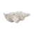 Anaica 9" W Handmade Polyresin Shell Decorative Bowl
