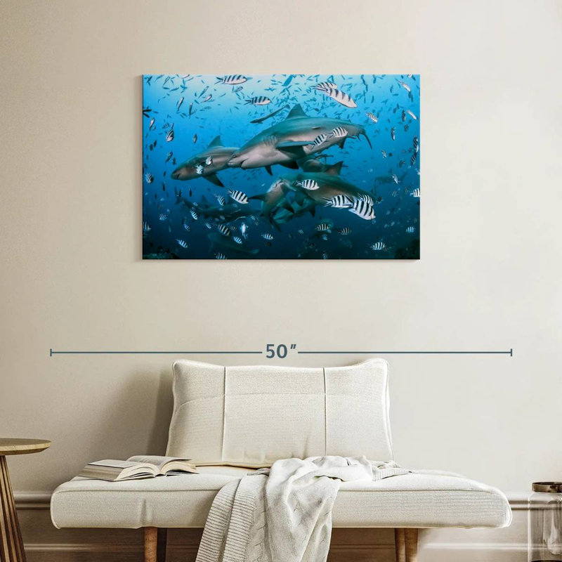 Aletra Beqa Lagoon Sharks, 24" H x 36" W