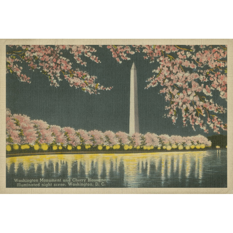 Washington Monument At Night - Wrapped Canvas Painting, 51cm H x 76cm W