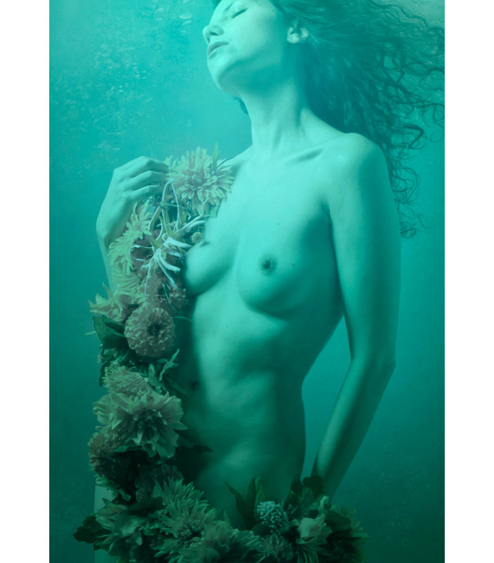Wrapped Canvas Print, 121.92 cm H x 81.28 cm W