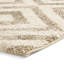 Swartz area rug Machine Woven Rectangle Beige-24398571