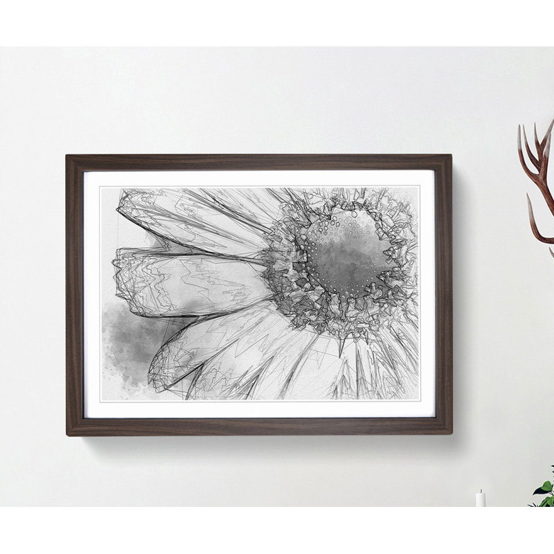 Pretty Flower in Abstract - Picture Frame Graphic Art Print, Walnut, 35cm H x 50cm W x 2cm D