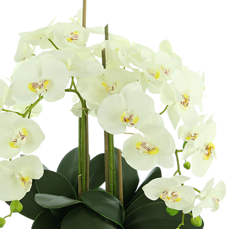 Orchid 26" H Floral Arrangements in Pot