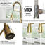 Brant 19 H 1-handle Pull-Down 2-Function Sprayer Kitchen Faucet-100790487