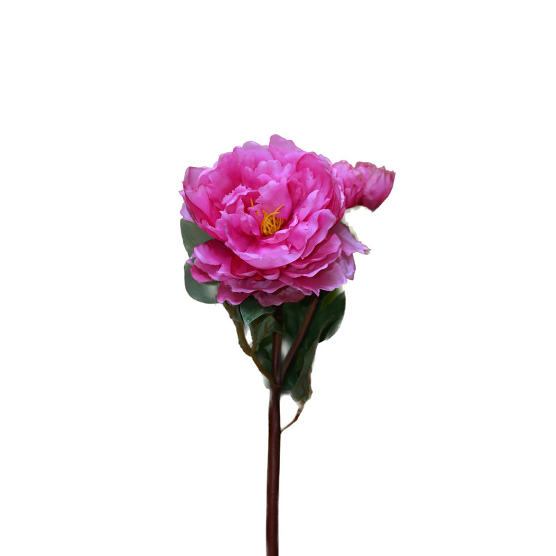 Peony with bud, Cerise Pink